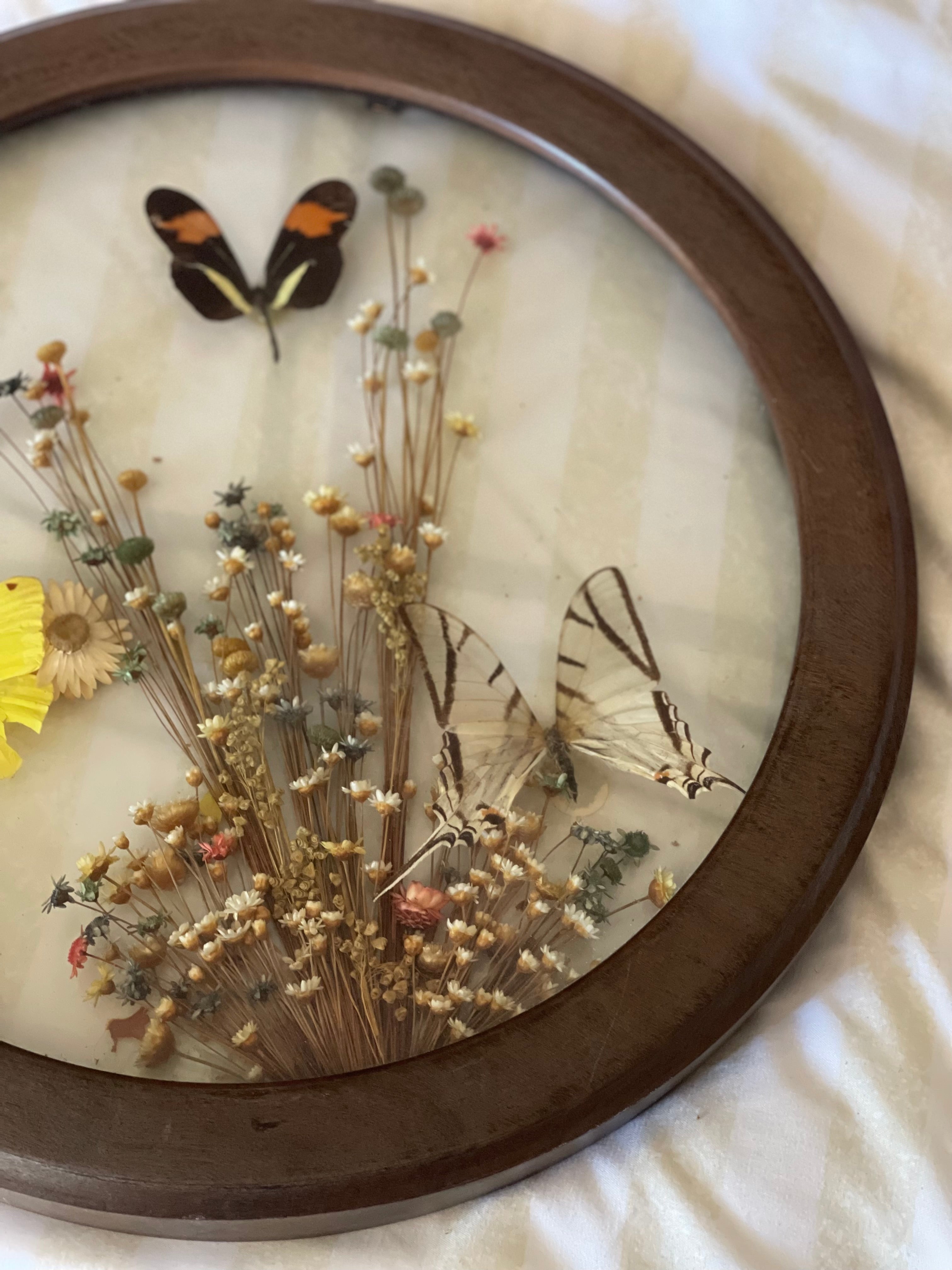 Butterflies in Bloom