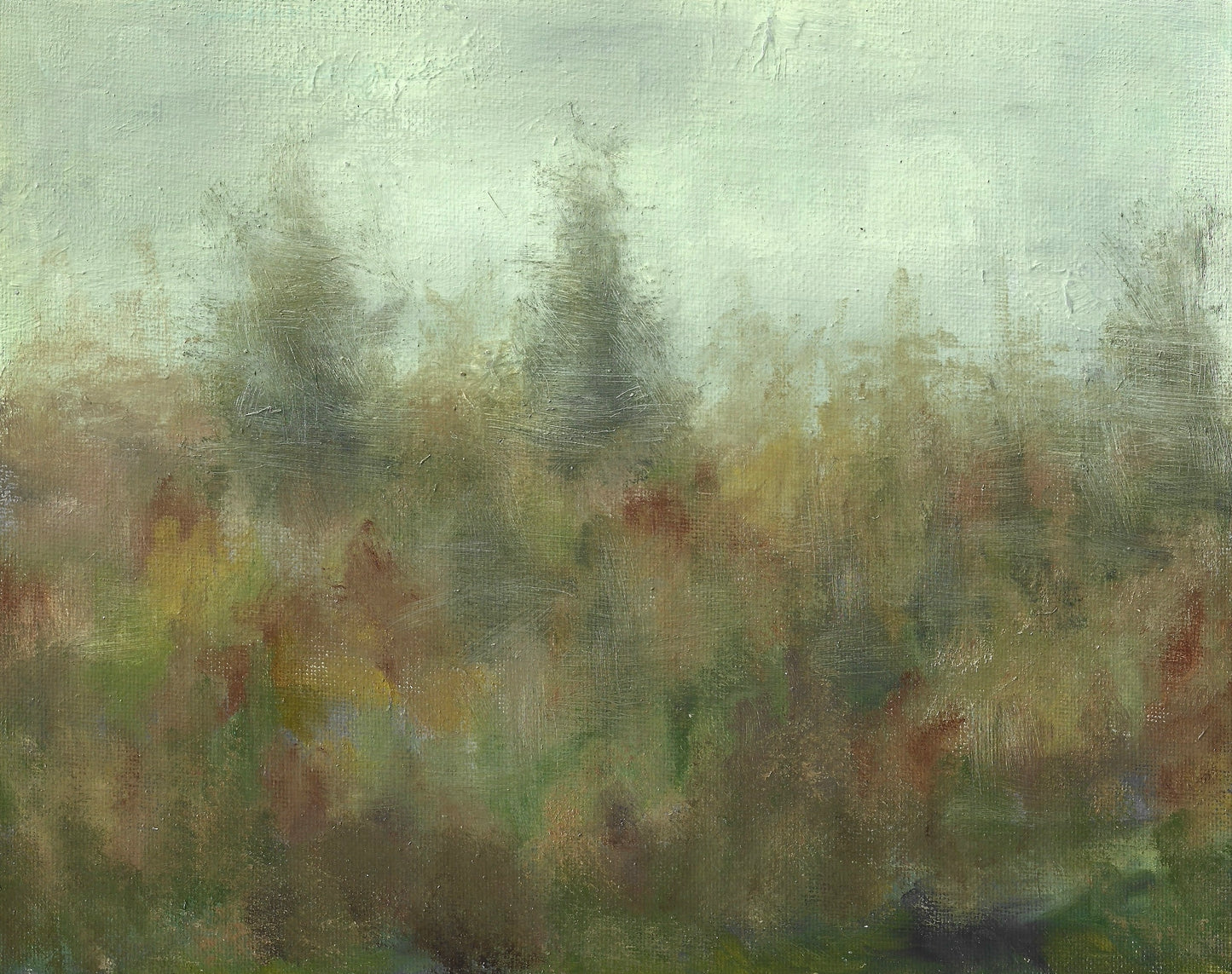 Fine Art Print