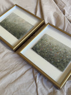 Study in Stillness I & II