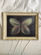 The  Butterfly
