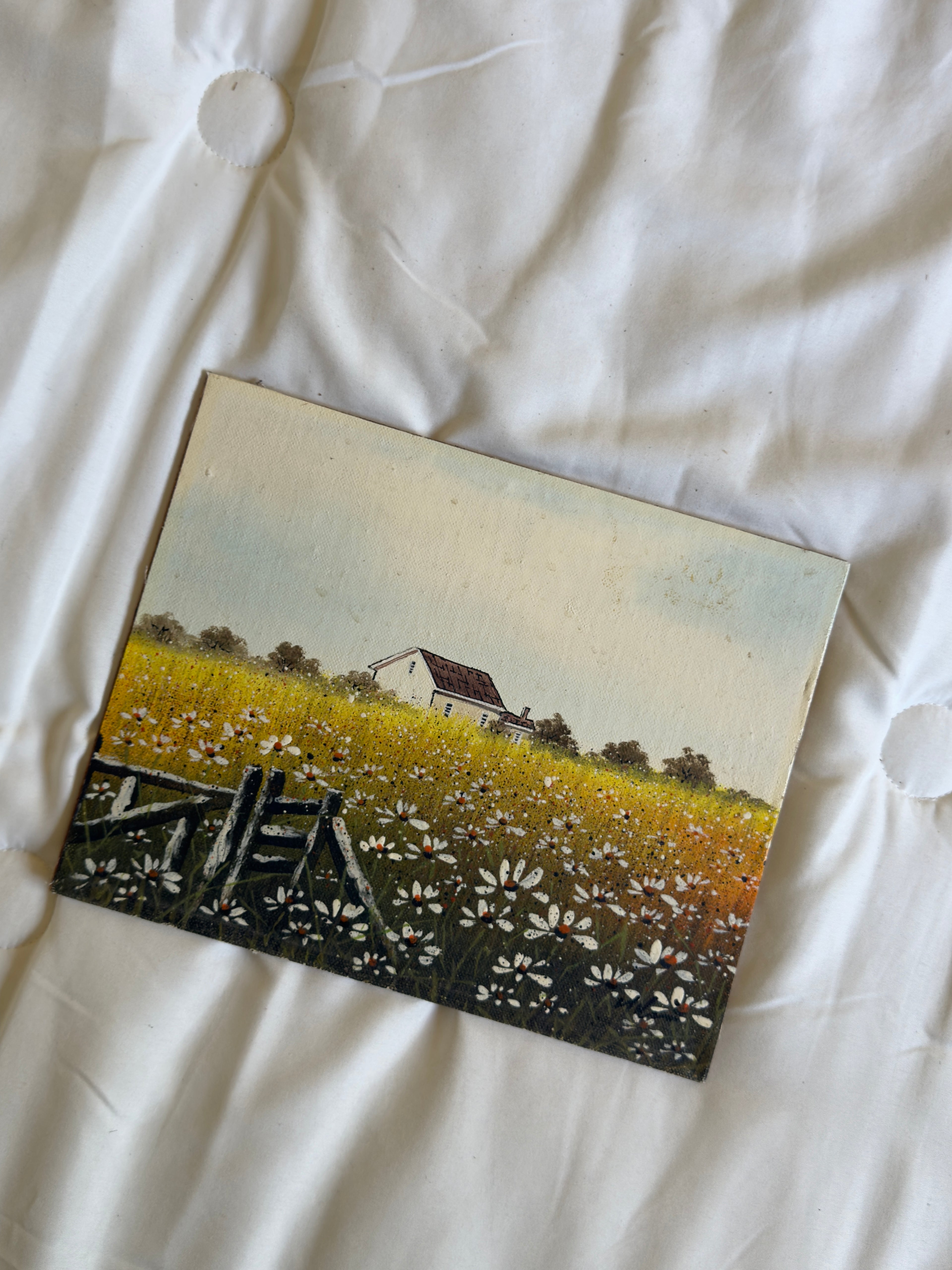 Daisy Meadow Cottage