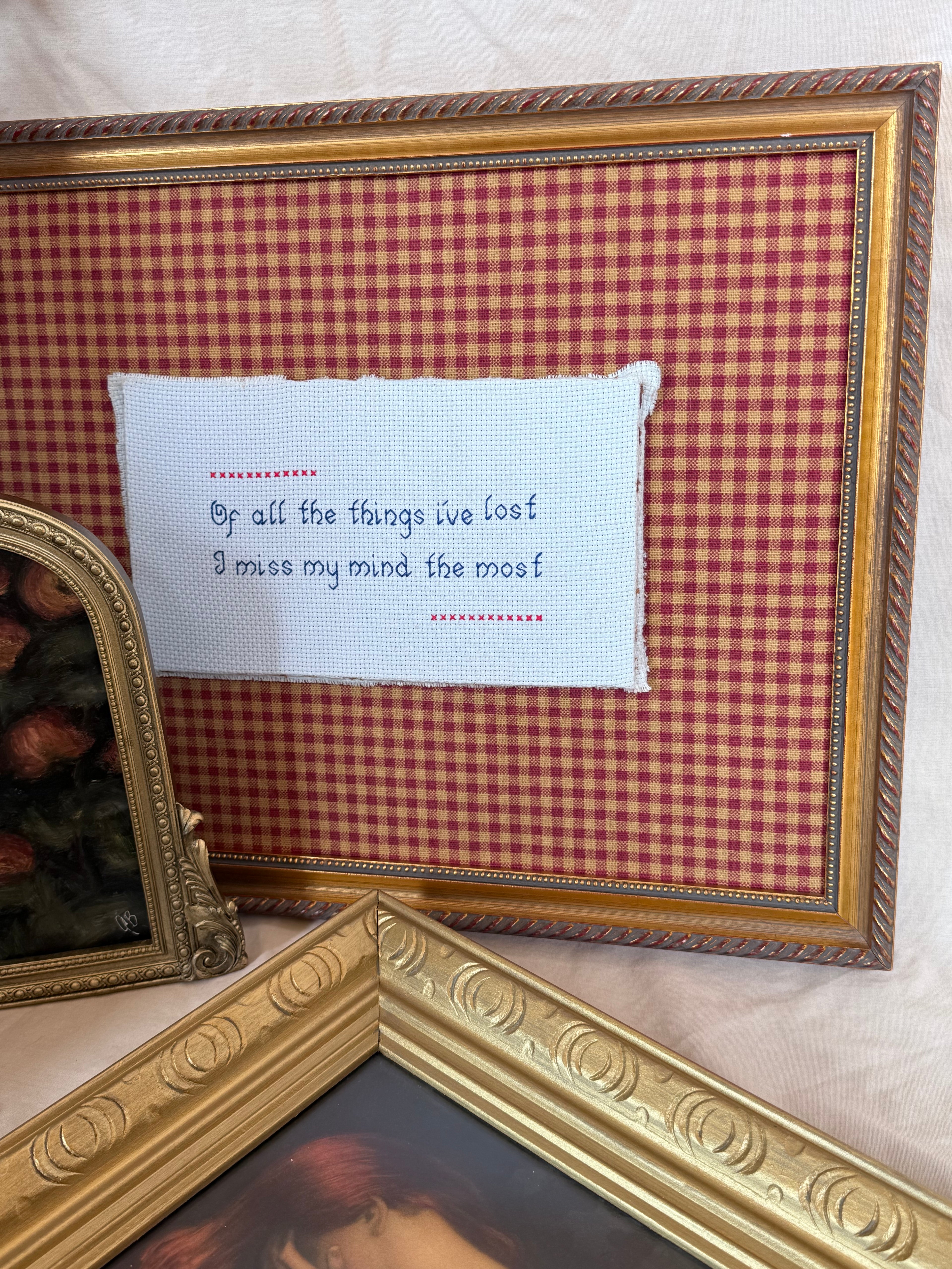 Lost My Mind - Vintage Framed Needle Craft