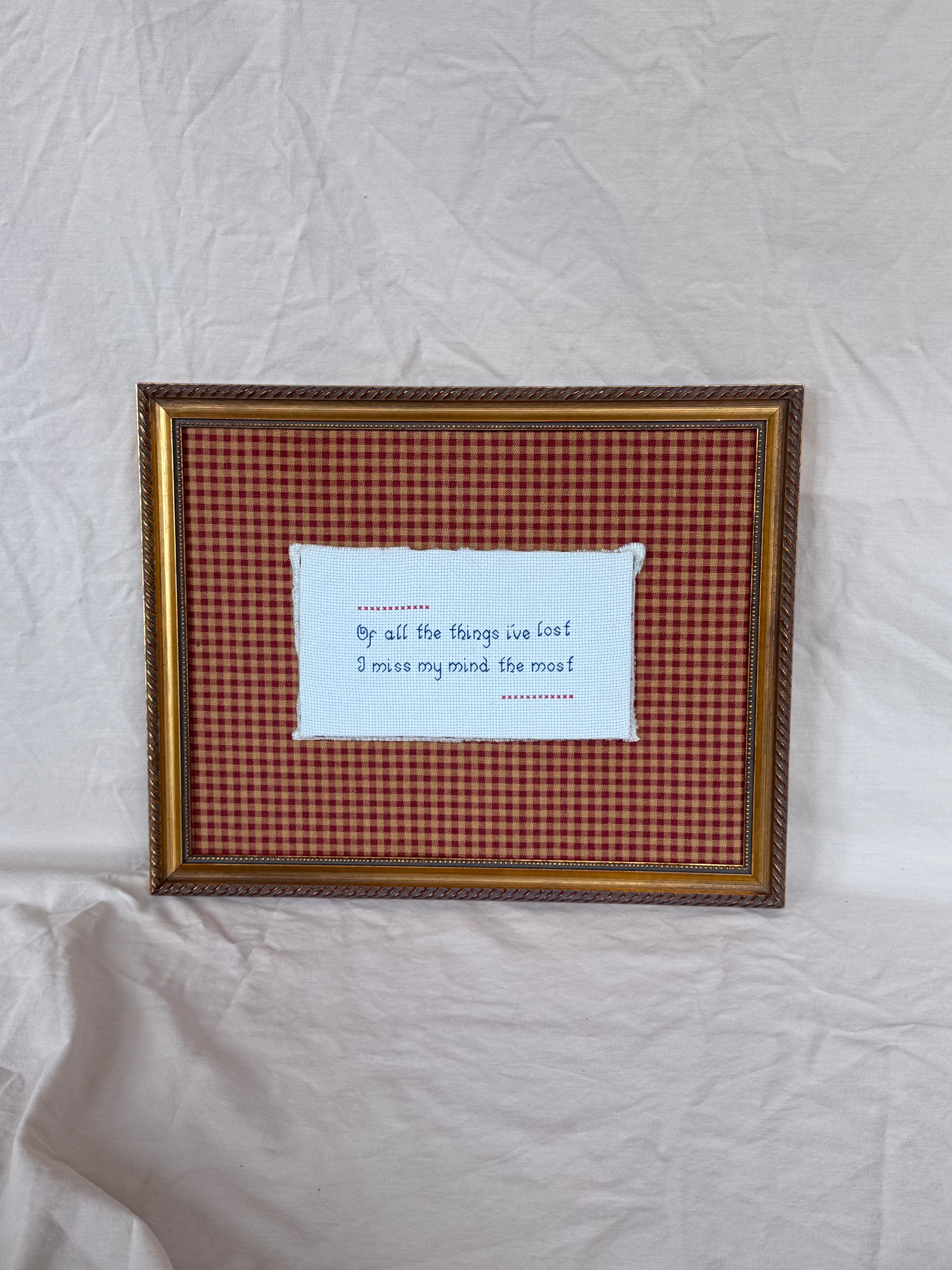 Lost My Mind - Vintage Framed Needle Craft