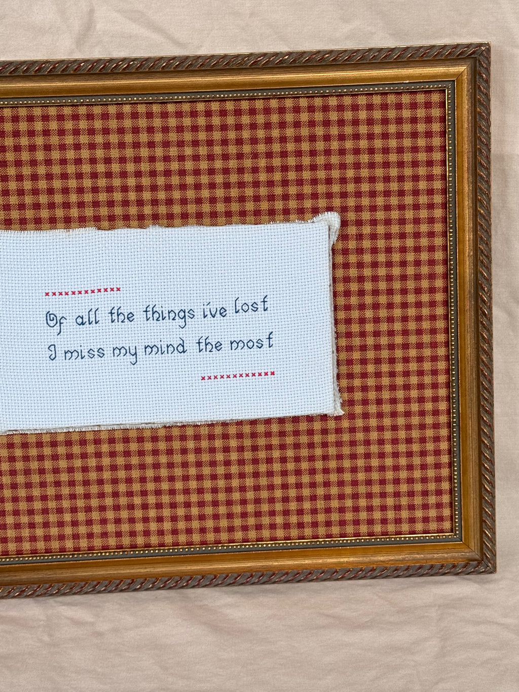 Lost My Mind - Vintage Framed Needle Craft