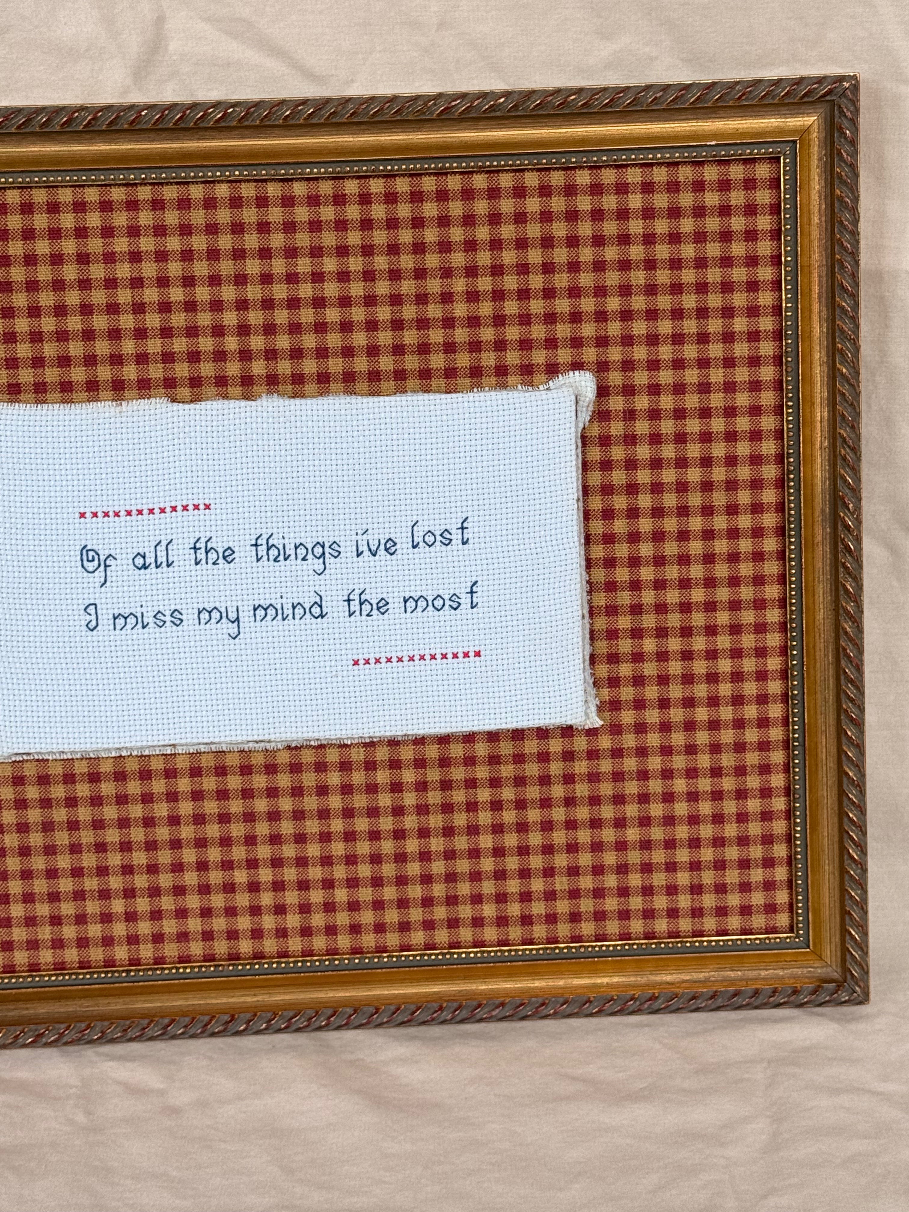 Lost My Mind - Vintage Framed Needle Craft