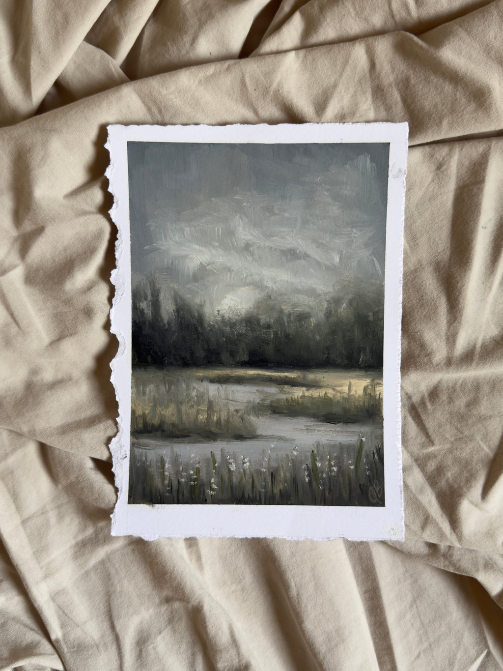 Marsh Study