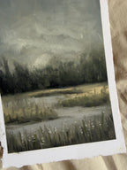 Marsh Study