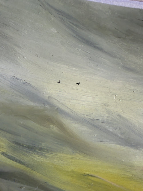Birds Study